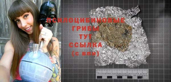 ПСИЛОЦИБИНОВЫЕ ГРИБЫ Алексин