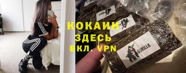 ПСИЛОЦИБИНОВЫЕ ГРИБЫ Алексин